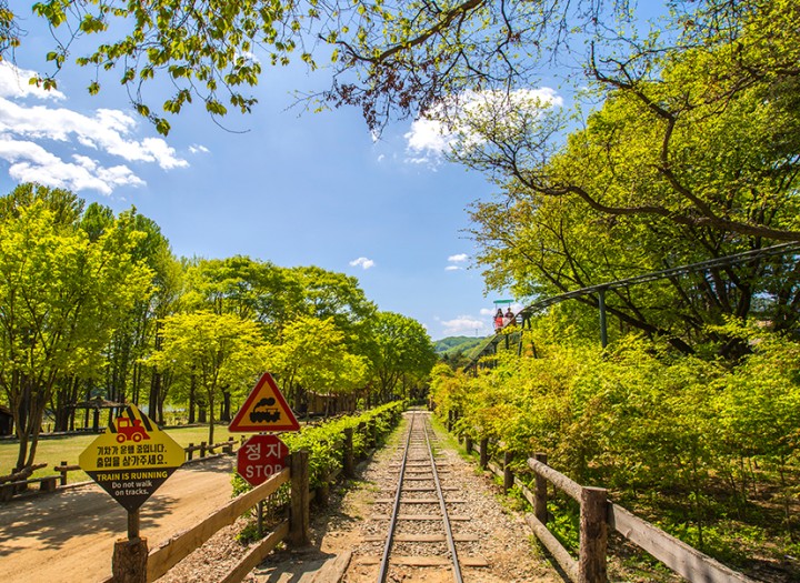 Nami Island Tour (10 Hours)