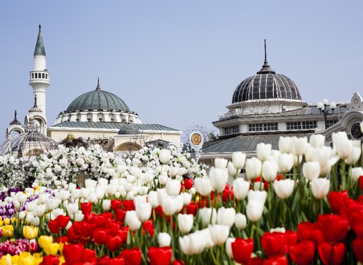한국민속촌.테마파크 투어 (8시간)